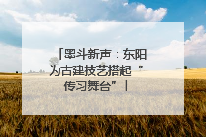 墨斗新声：东阳为古建技艺搭起“传习舞台”